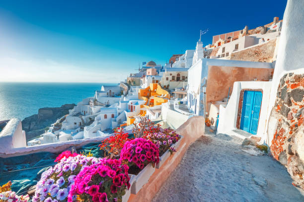 White Greek coastal buildings, colorful doors and bright flowers beside the sea