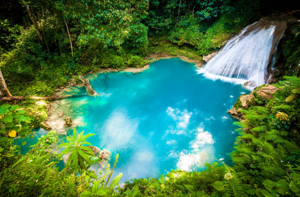 A waterfall cascading into a turquoise pool surrounded by lush greenery in Jamaica